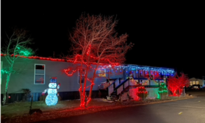 Christmas Lights